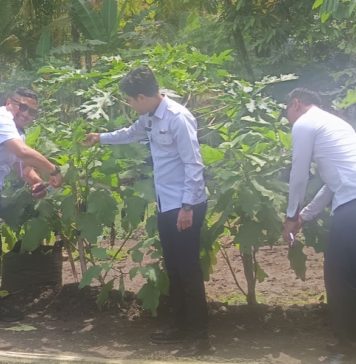Warga Binaan Lapas Tabanan Kembangkan Pertanian dan Perikanan