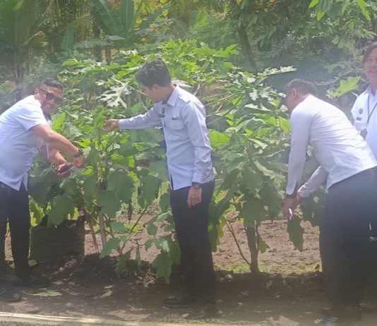 Warga Binaan Lapas Tabanan Kembangkan Pertanian dan Perikanan