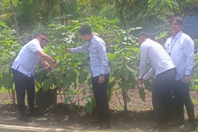 Warga Binaan Lapas Tabanan Kembangkan Pertanian Dan Perikanan 1
