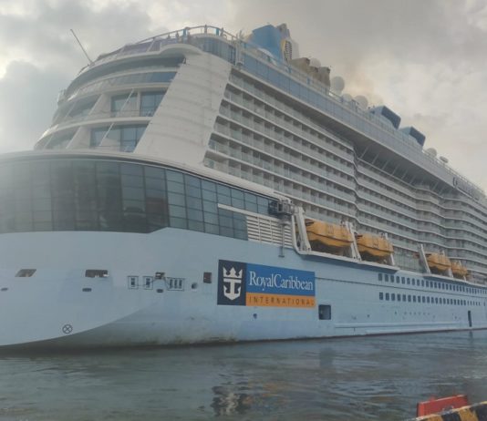 61 Kapal Pesiar Dijadwalkan Sandar di Pelabuhan Benoa, Proyeksi Penumpangnya Capai 65 Ribu Orang