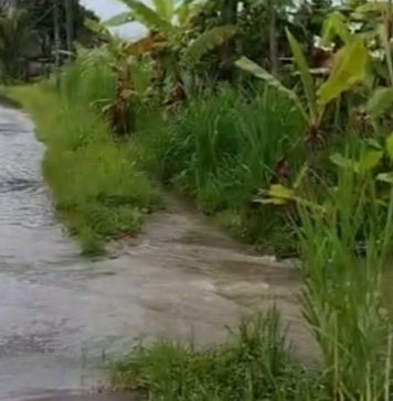 Air Irigasi Meluber ke Jalan di Desa Pering Tak Kunjung Teratasi