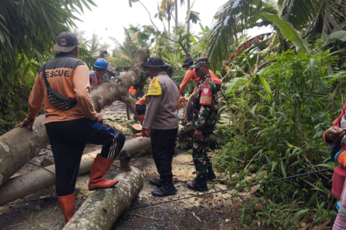 Angin Kencang Tumbangkan Pohon Di Blahbatuh, Akses Perumahan Green Keramas Sempat Terputus 1