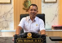 Awasi Pelanggaran, Perlu Personel Satpol PP Ditempatkan di Nusa Penida