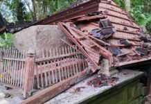 Bangunan Sarkofagus di Desa Tegak Rusak Tertimpa Pohon Cengkih