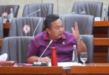 Banjir dan Kerusakan Hutan Bali, Polisi Diminta Tegakkan Hukum Tata Ruang