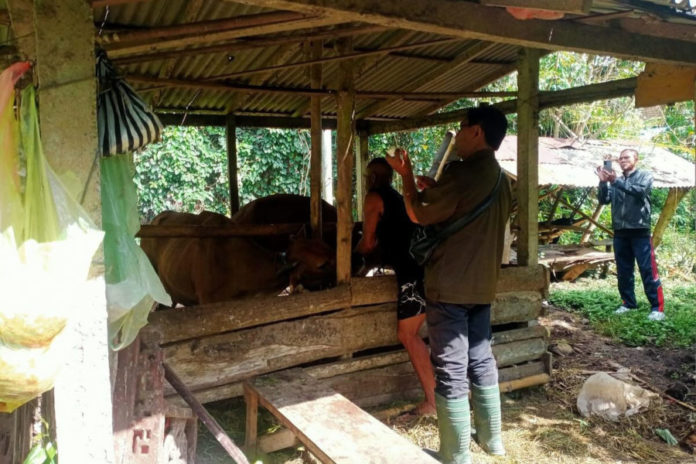 Banyak Pensiun, Tabanan Terancam Krisis Dokter Hewan 1