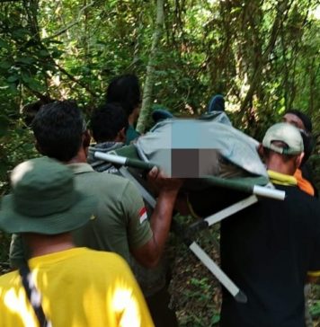 Baru Tempuh 100 Meter saat Trekking di TN Bali Barat, WN AS Sesak Napas Kemudian Meninggal