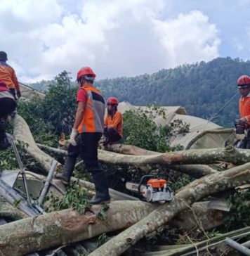 Beringin Berukuran Besar Tumbang, Warung Hingga Kendaraan di Kedisan Alami Kerusakan