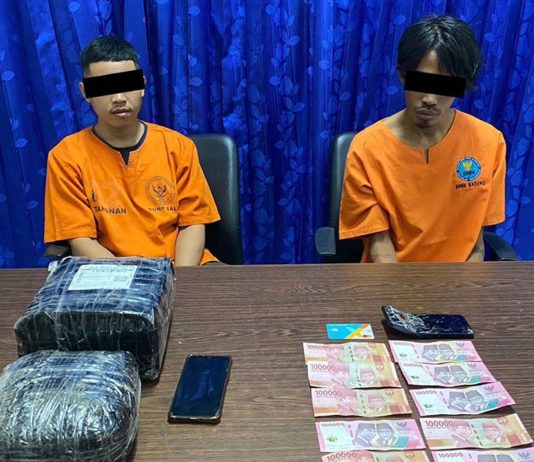 BNNP Bali Bongkar Jaringan Ganja Sumatra-Bali, Tiga Pelaku Ditangkap