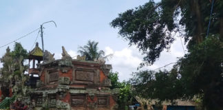Dahan Beringin Patah Rusak Bale Kulkul di Pura Puser Tasik