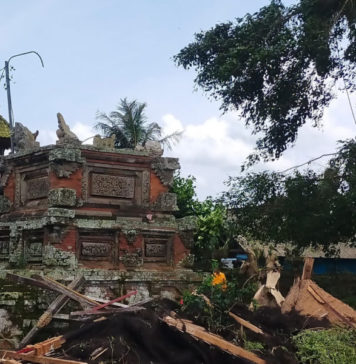 Dahan Beringin Patah Rusak Bale Kulkul di Pura Puser Tasik