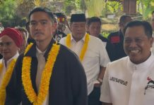Disambut Barong Gajah, Kaesang Tiba di Rakorwil PSI Bali