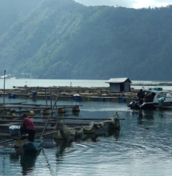Gubernur Koster Wacanakan Penertiban KJA Danau Batur