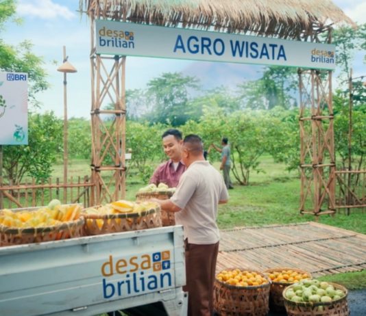 Jangkau 5.245 Desa BRILiaN, BRI Perluas Dukungan bagi Pengembangan Ekonomi Desa