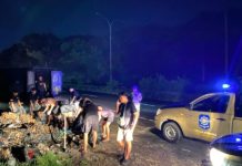 Karyawan Pabrik Roti di Denpasar Terciduk Buang Sampah di Gianyar, Tokonya Tak Berizin Ditutup Satpol PP