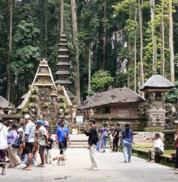 Libur Tahun Baru, Alas Pala Sangeh Dipadati Wisdom