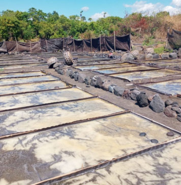 Masuki Musim Hujan, Petani Baturinggit Hentikan Produksi Garam