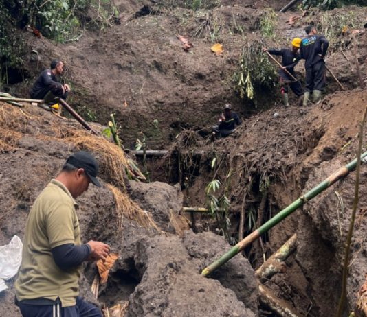 Material Longsor dan Pohon Tumbang di Payangan Dibersihkan