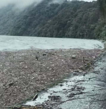 Material Lumpur Proyek Jalan Diduga Cemari Danau Beratan