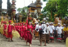 Ribuan Krama Padati Pura Dalem Puri, Upacara Nyenuk Jadi Puncak Syukur Karya Agung