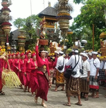 Ribuan Krama Padati Pura Dalem Puri, Upacara Nyenuk Jadi Puncak Syukur Karya Agung