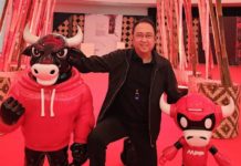 PDIP Umumkan Maskot Baru Jelang HUT ke-53