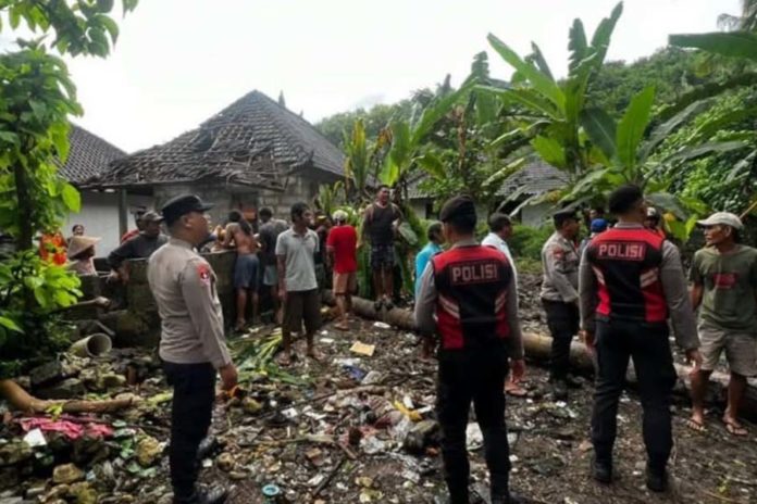 Pohon Kelapa Timpa Rumah Warga Suana, Kerugian Ditaksir Puluhan Juta Rupiah 1