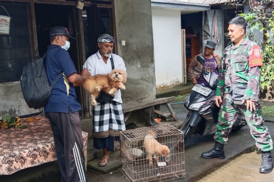 Putus Rantai Penyebaran Rabies, Ratusan HPR Divaksinasi | BALIPOST.com