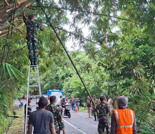 Rawan Tumbang Karena Cuaca Ekstrem, Aparat Gabungan Pangkas Pohon di Ruas Jalan Tembuku