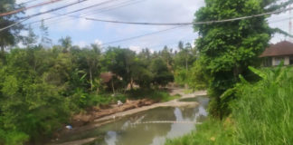 Rumah Kerap Kebanjiran, Warga Pebuahan Harapkan Pemerintah Lakukan Pengerukan Sungai Tukadaya