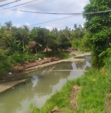 Rumah Kerap Kebanjiran, Warga Pebuahan Harapkan Sungai Tukadaya Dikeruk