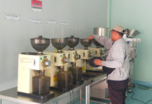 Sentra IKM Kopi Mulai Sumbang Pendapatan Daerah