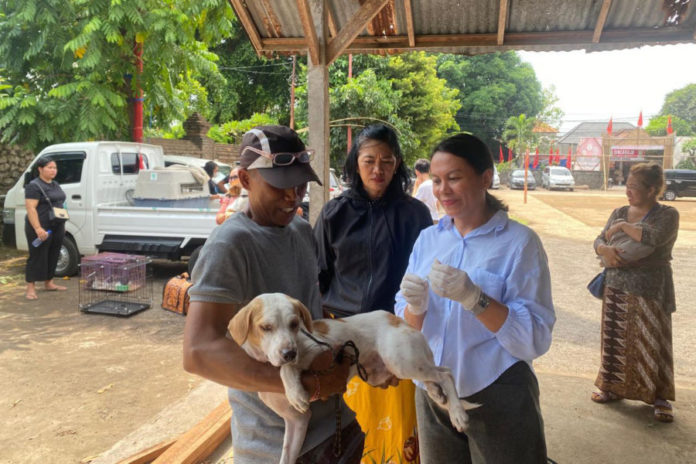 Sepanjang 2025, Anjing Positif Rabies Di Denpasar Sebanyak 24 Ekor 1