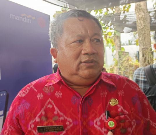 Serangan Hama Tikus Masih Hantui Petani Marga, Produksi Padi Tabanan Aman