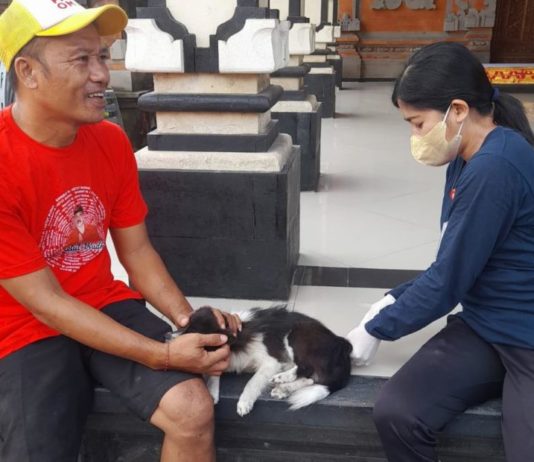 Tahun Ini Vaksinasi Rabies di Denpasar Ditarget Mencakup 92,7 Persen