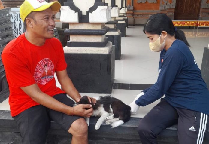 Tahun Ini Vaksinasi Rabies Di Denpasar Ditarget Mencakup 92,7 Persen 1
