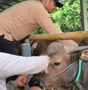 5 Berita Koran Bali Post Terbit Hari Ini, Rabu 21 Januari 2026