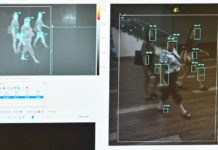 Virus Nipah Merebak di Luar Negeri, Kunjungan Wisman ke Bali Belum Terdampak