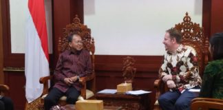 Gubernur Bali Terima Audiensi Wakil Dubes Inggris, Perkuat Kerja Sama Pariwisata-Transportasi