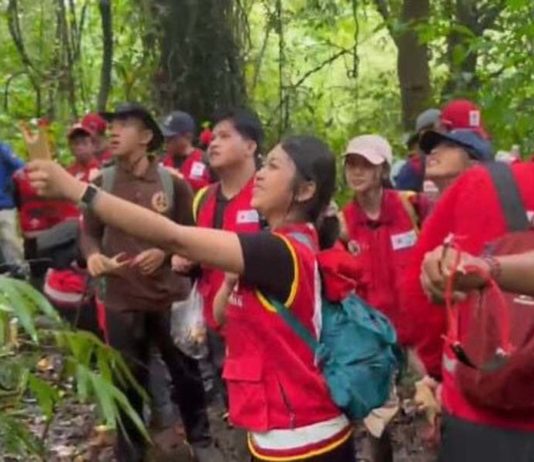 Bukan Menanam, PMI Pilih ‘Menembakkan’ Benih untuk Pulihkan Hutan Jembrana
