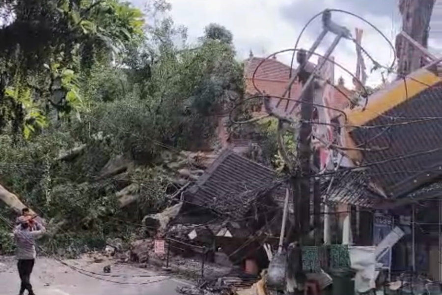 Pohon Beringin Tua di Puri Kantoran Ubud Tumbang, Timpa Mobil dan Bangunan  | BALIPOST.com