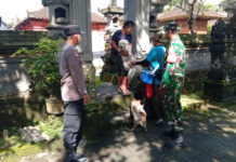110 Ekor Anjing di Desa Sidan Divaksin Rabies