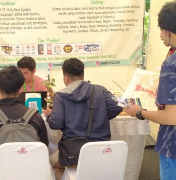 2025, Tingkat Pengangguran Terbuka di Denpasar Alami Penurunan