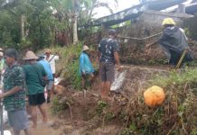 Empat Daerah Irigasi di Tabanan Jebol, 200 Hektare Sawah Terancam