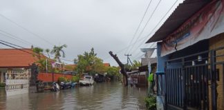 Hujan dan Angin Kencang, Sejumlah Sekolah di Denpasar Berlakukan Belajar Daring