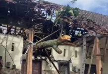 Kos-kosan di Abiansemal Ditimpa Pohon, Enam Penghuninya Luka-luka