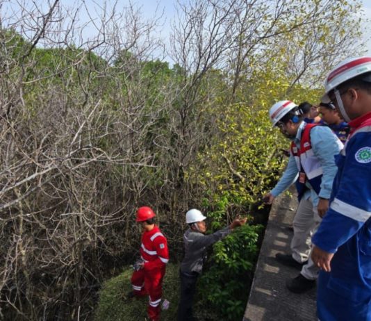 5 Berita Koran Bali Post Terbit Hari Ini, Senin 23 Februari 2026