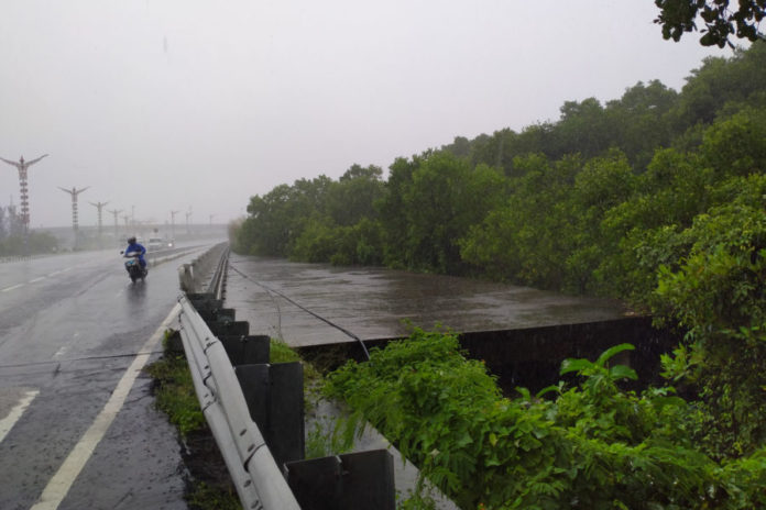 Mangrove Mati Disepakati Tanam Ulang, Dugaan Pencemaran BBM Masih Didalami 1