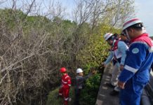 Matinya Ratusan Mangrove di Benoa Diduga Akibat Pipa BBM Bocor, Ini Respons Pertamina