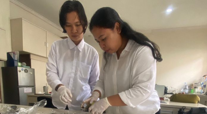 Ratusan Mangrove Mati di Benoa, Tim Peneliti Unud Pastikan Tercemar Solar